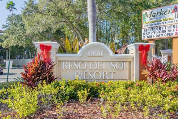 Beso del Sol in Dunedin
